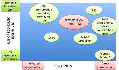 EconomicIncentivesandPolicyFrameworks:FosteringInvestmentandAdoption