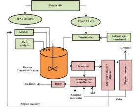 Enzyme-BasedProcessesforBiofuelProduction