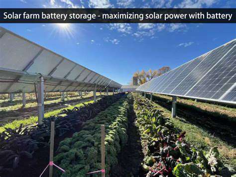 MaximizingSolarEnergywithBatteryStorage