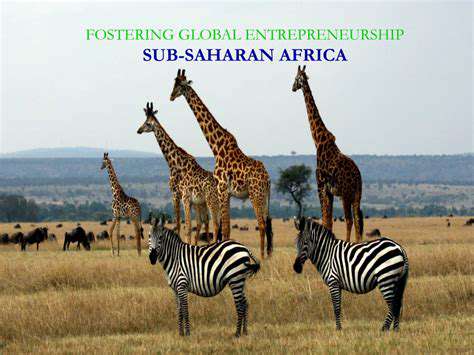 OvercomingChallengesandFosteringGlobalCollaboration