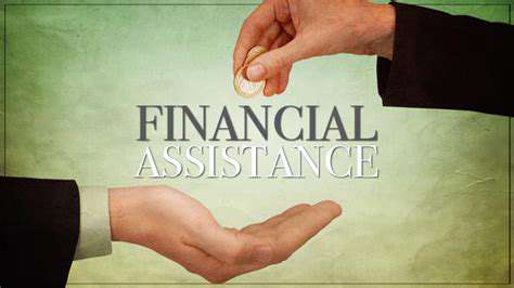 TheCrucialRoleofFinancialSupport