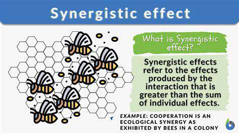 TheIntertwinedPotentialofSolarandWind:ASynergisticApproach