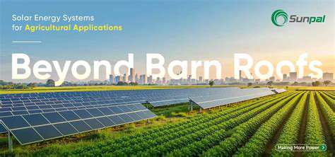 Perovskite Solar Cells: The Next Big Leap in Solar Technology