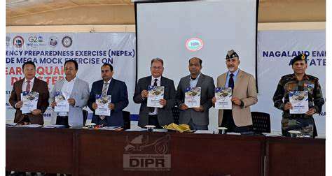 Capacity Building for Renewable Energy Development in Emerging Economies