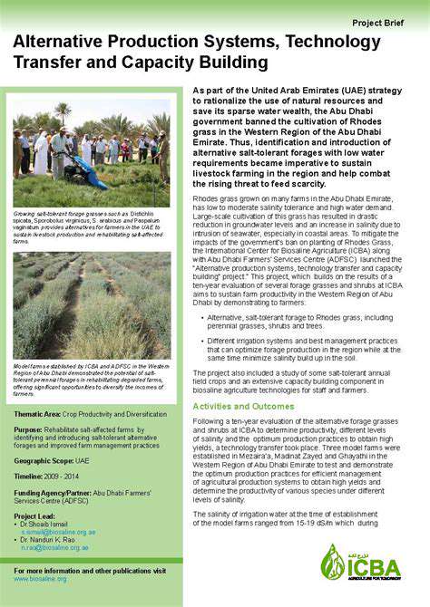 Renewable Energy and Green Diplomacy: Strengthening International Relations